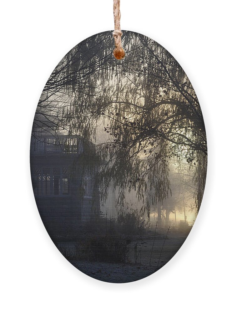 Fog Ornament featuring the photograph Willow in Fog by Tim Nyberg
