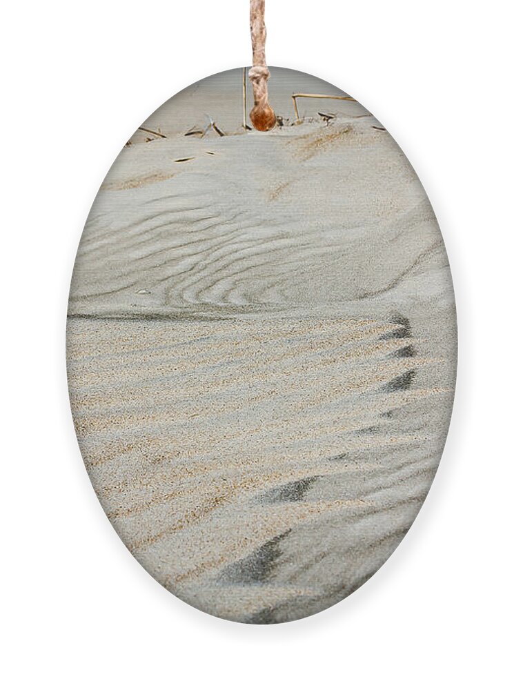 Dunes Ornament featuring the photograph Wind Art by Joni Eskridge