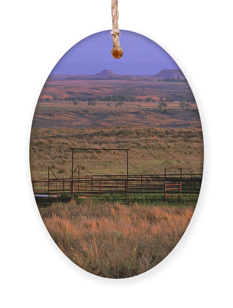 Dave Welling Ornament featuring the photograph Windmill Cattle Fencing Texas Panhandle by Dave Welling