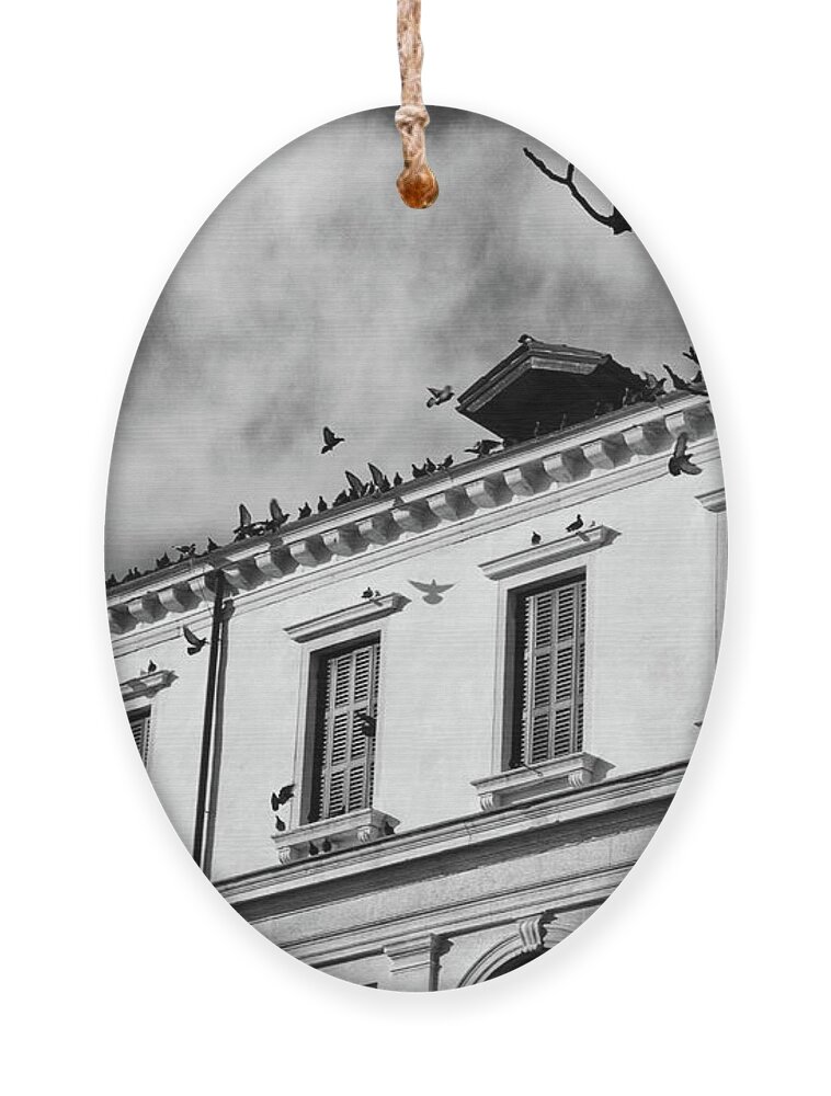Venice Ornament featuring the photograph Wings and Shadows by Becqi Sherman
