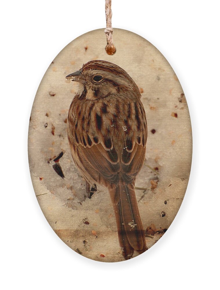 Sparrows Ornament featuring the photograph Winter Feast I - Textured by Angie Tirado