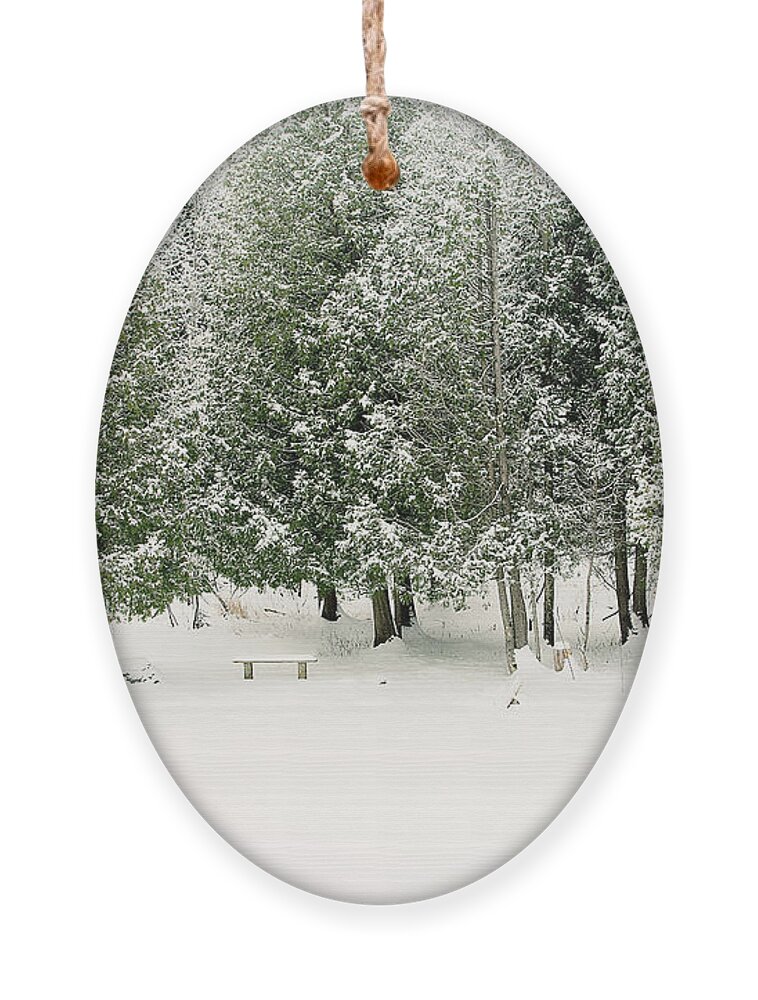 Winter Ice Storm Print Ornament featuring the photograph Winter Ice Storm Print by Gwen Gibson