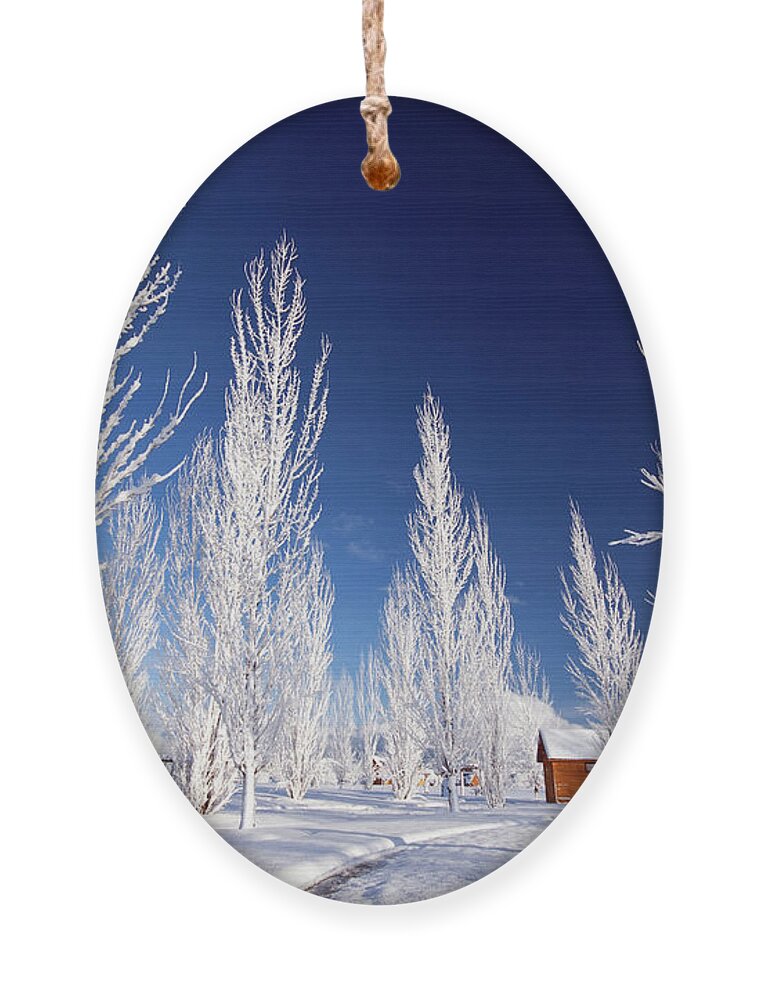 Winter Ornament featuring the photograph Winter Landscape by Wesley Aston