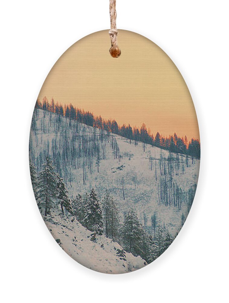 Mountain Ornament featuring the photograph Winter Mountainscape by Troy Stapek