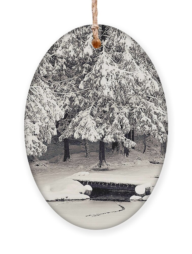 Winter Scenic Print Ornament featuring the photograph Winter Scene Black and White Print by Gwen Gibson