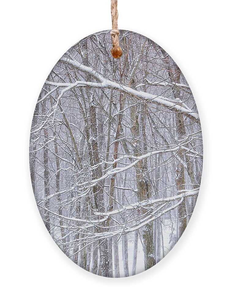 Winter Storm Ornament featuring the photograph Winter White by Peg Runyan