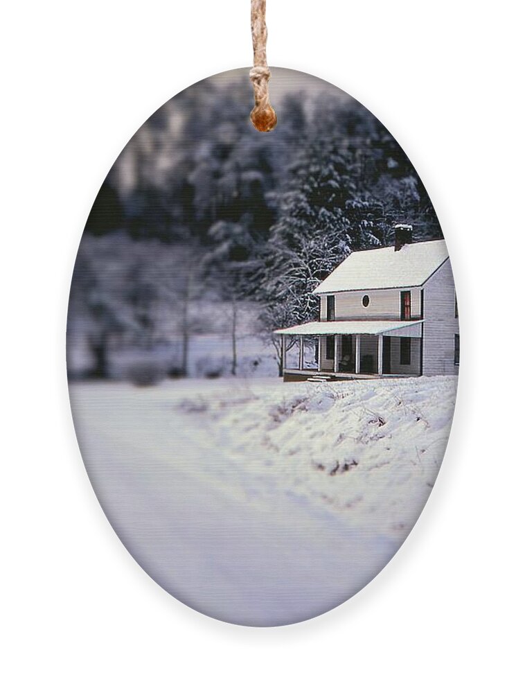 Fine Art Ornament featuring the photograph Winter Wonder by Rodney Lee Williams