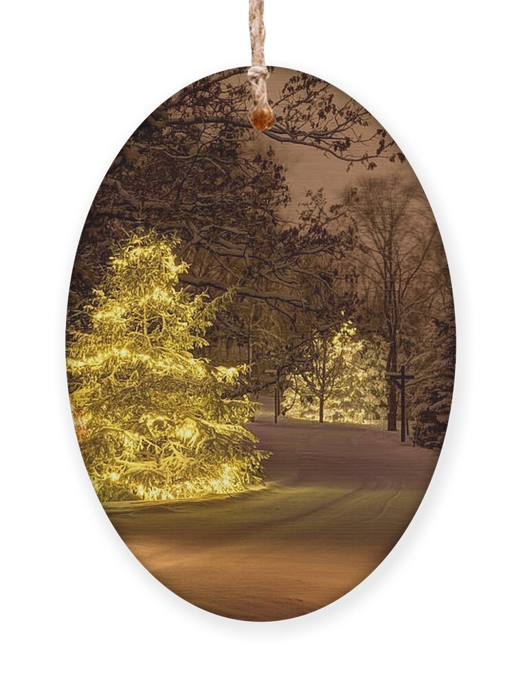 Dakota County Ornament featuring the photograph Winter Wonderland Minnesota by Wayne Moran
