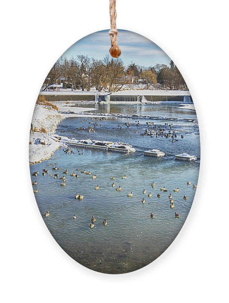 Geese Ornament featuring the photograph Wintering Geese by Tatiana Travelways