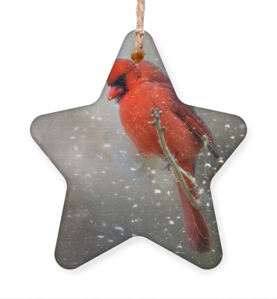 Animal Ornament featuring the photograph Winters Falling by Lana Trussell