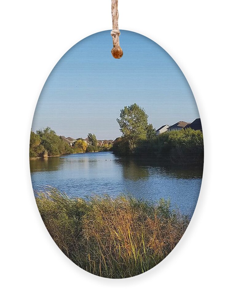 Pond Ornament featuring the photograph Woodland Pond by Vic Ritchey
