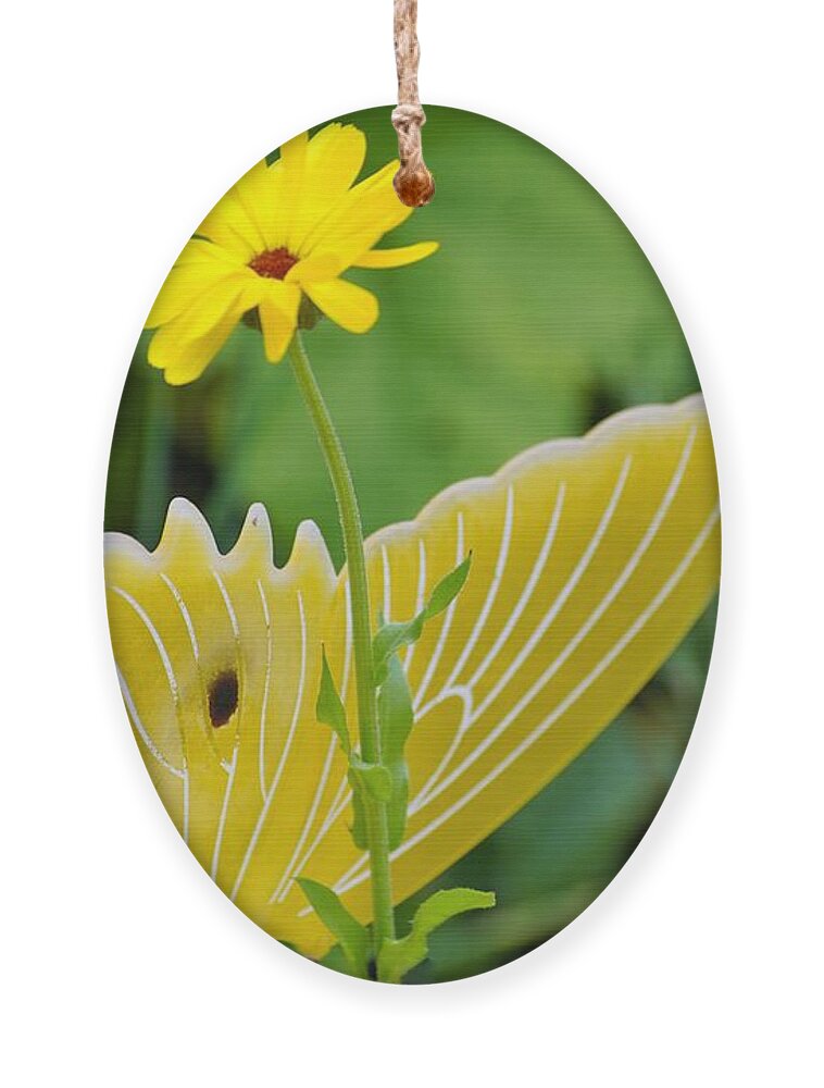 Butterfly Ornament featuring the photograph Yellow Butterfly by Merle Grenz