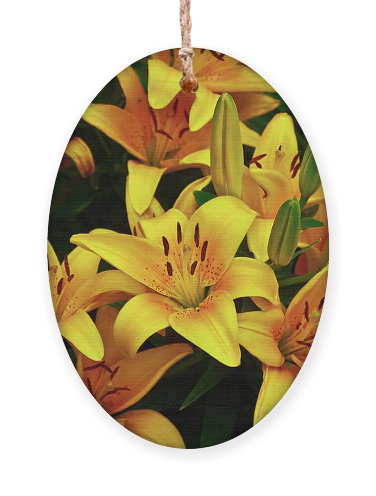 Yellow Lilies Photographs Ornament featuring the photograph Yellow Lilies by Joann Copeland-Paul