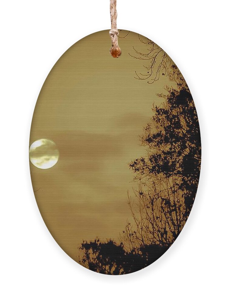 Moon Ornament featuring the photograph Yesteryears Moon by DigiArt Diaries by Vicky B Fuller