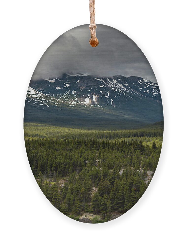Yukon Territory Ornament featuring the photograph Yukon Wilderness by Ed Clark