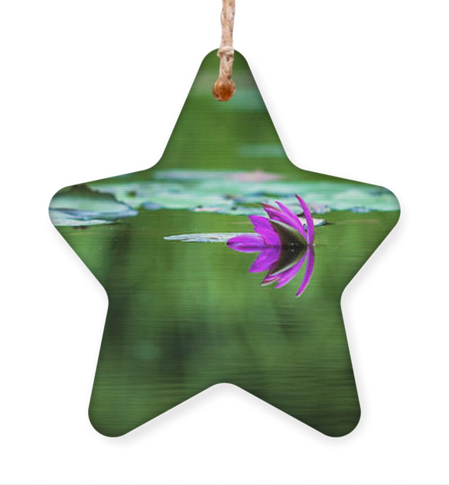 Water Ornament featuring the photograph Zen Blossom by Laura Roberts