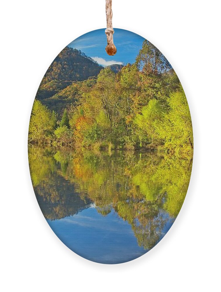 Autumn Ornament featuring the photograph Autumn Reflections by Allen Nice-Webb