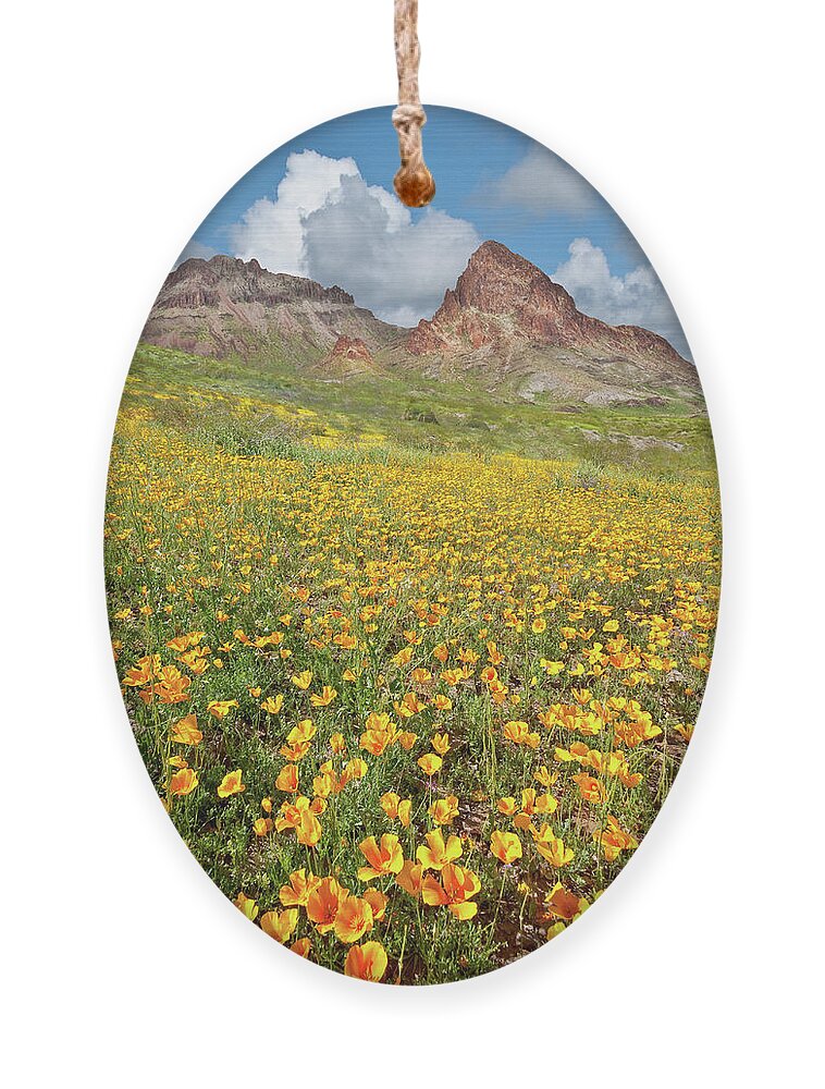 Arid Climate Ornament featuring the photograph Boundary Cone Butte by Jeff Goulden