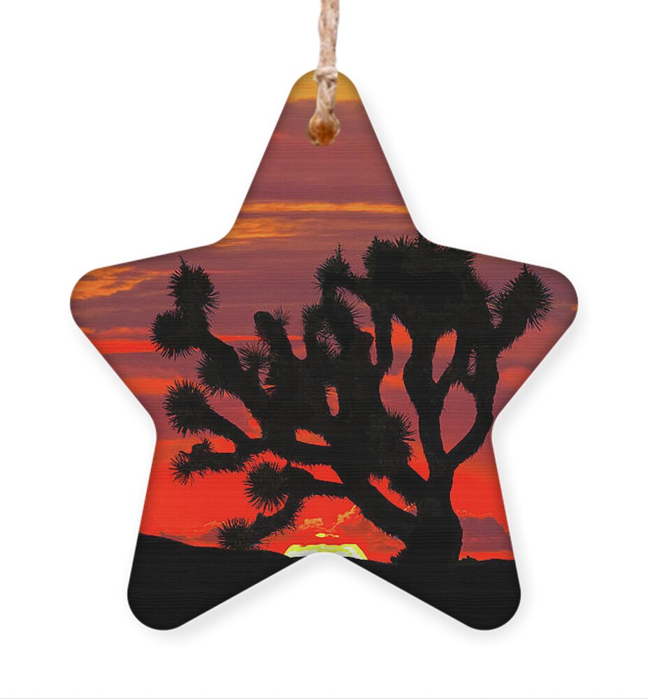 Arid Climate Ornament featuring the photograph Joshua Tree at Sunset #1 by Jeff Goulden