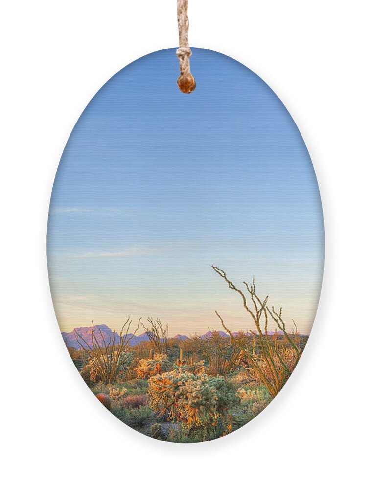 Southwest Ornament featuring the photograph Sonoran Desert Catching Days Last Rays by Anton Foltin