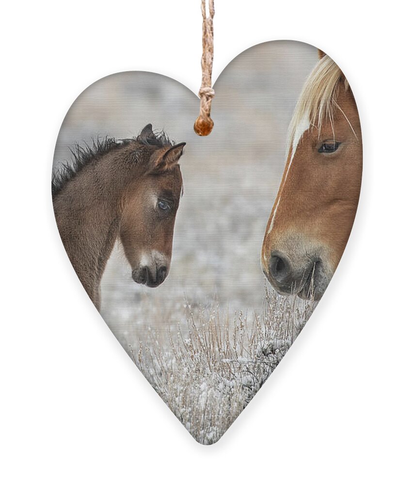 Horses Ornament featuring the photograph 1dx20783 by John T Humphrey
