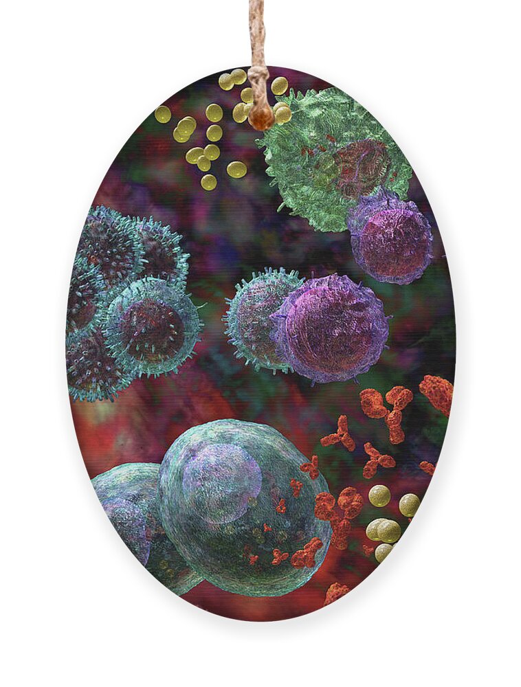 Antibodies Ornament featuring the photograph Immune Response Antibody 4 #2 by Russell Kightley