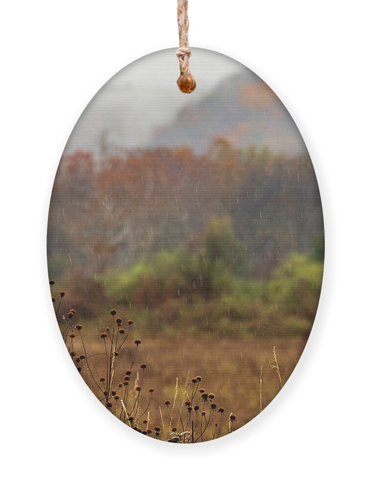 National Park Ornament featuring the photograph Landscape Photography - Rural Scenes #1 by Amelia Pearn