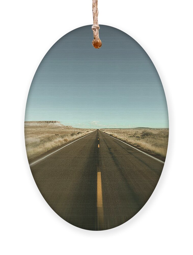 Arizona Ornament featuring the photograph Arizona Desert Highway by Raul Rodriguez