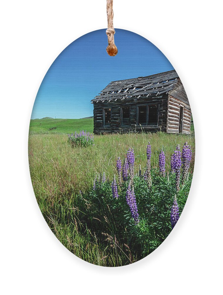 Spanish Creek Ornament featuring the photograph Abandoned on the Prairie by Douglas Wielfaert