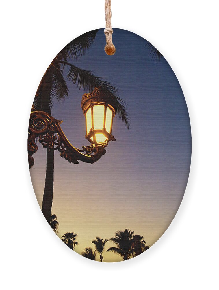 Sunset Ornament featuring the photograph Aglow by Becqi Sherman