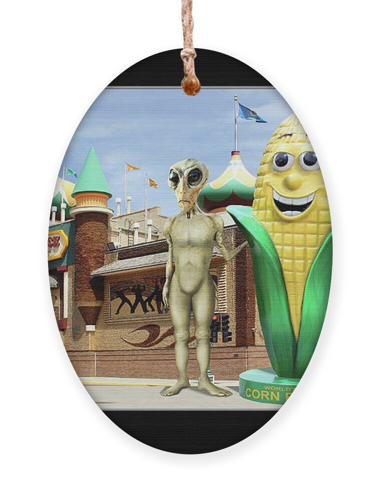 Ufo Ornament featuring the photograph Alien Vacation - Mitchell, S D by Mike McGlothlen
