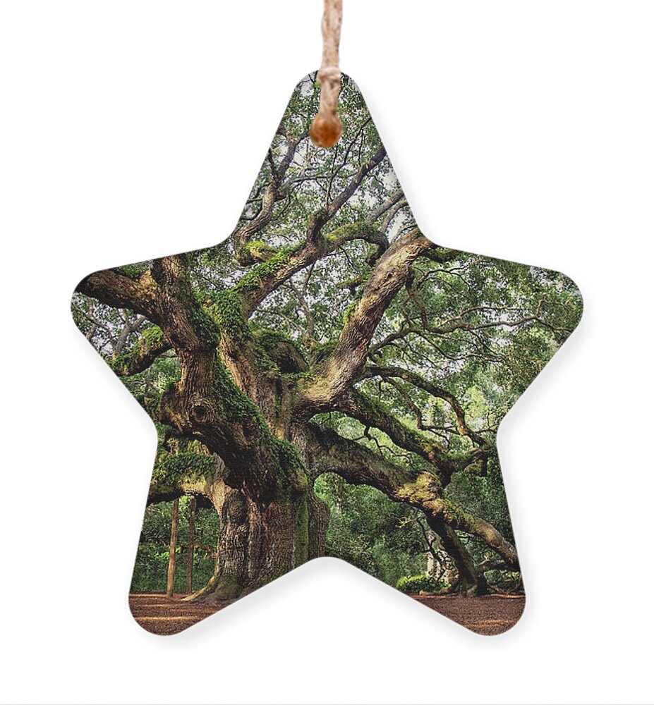 Carolinas Ornament featuring the photograph Angel Oak Tree by Lana Trussell