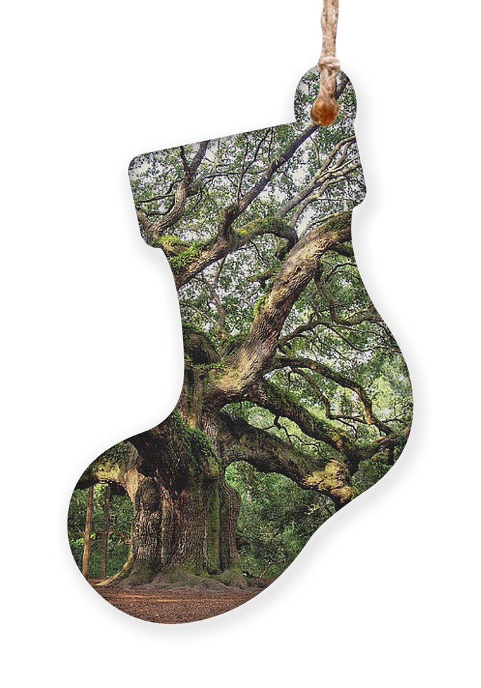 Carolinas Ornament featuring the photograph Angel Oak Tree by Lana Trussell