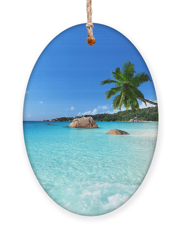 Palm Ornament featuring the photograph Anse Lazio Beach At Praslin Island by Esb Professional