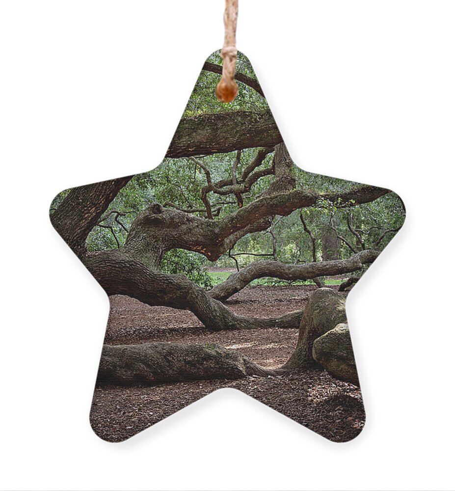 Carolinas Ornament featuring the photograph Arms of an Angel by Lana Trussell