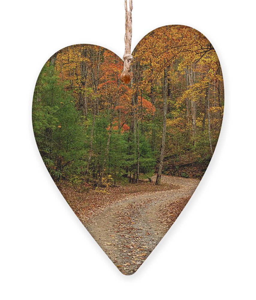 Woods Ornament featuring the photograph Around the Next Bend by Marcy Wielfaert