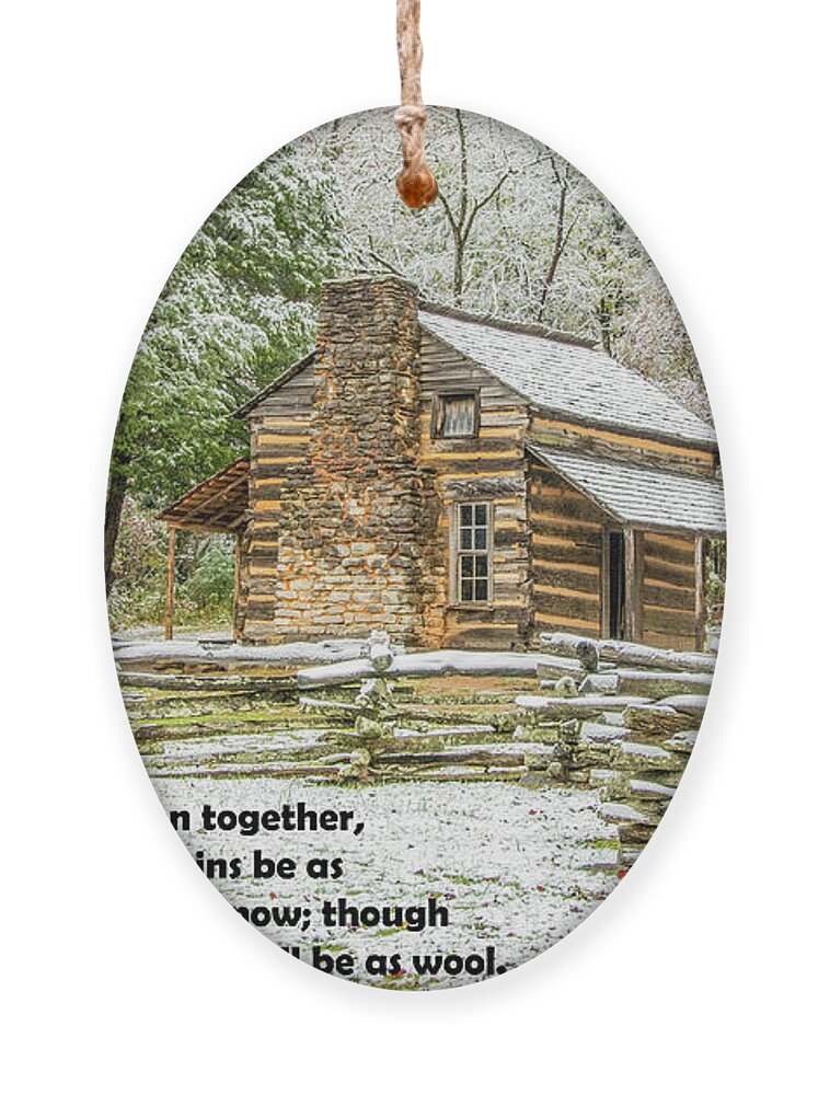 John Oliver Cabin Ornament featuring the photograph As White As Snow by Marcy Wielfaert