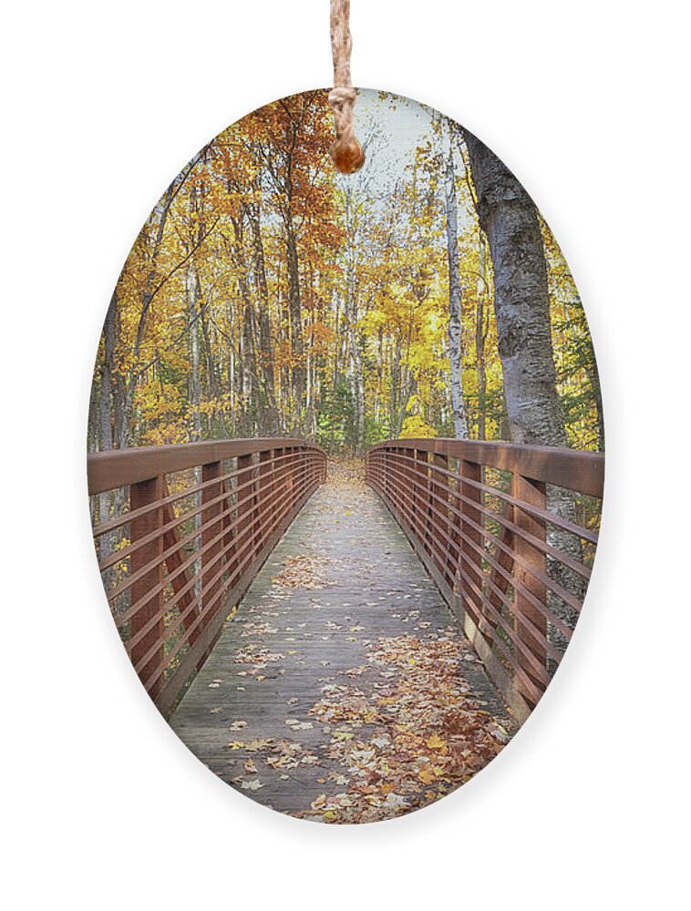 Autumn Ornament featuring the photograph Autumn at Frog Bay by Susan Rissi Tregoning