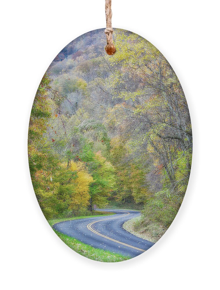 Blue Ridge Parkway Ornament featuring the photograph Autumn Road 2 by Nunweiler Photography