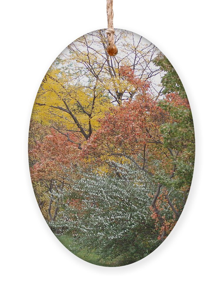  Ornament featuring the photograph Autumn Transition 128 by Ee Photography