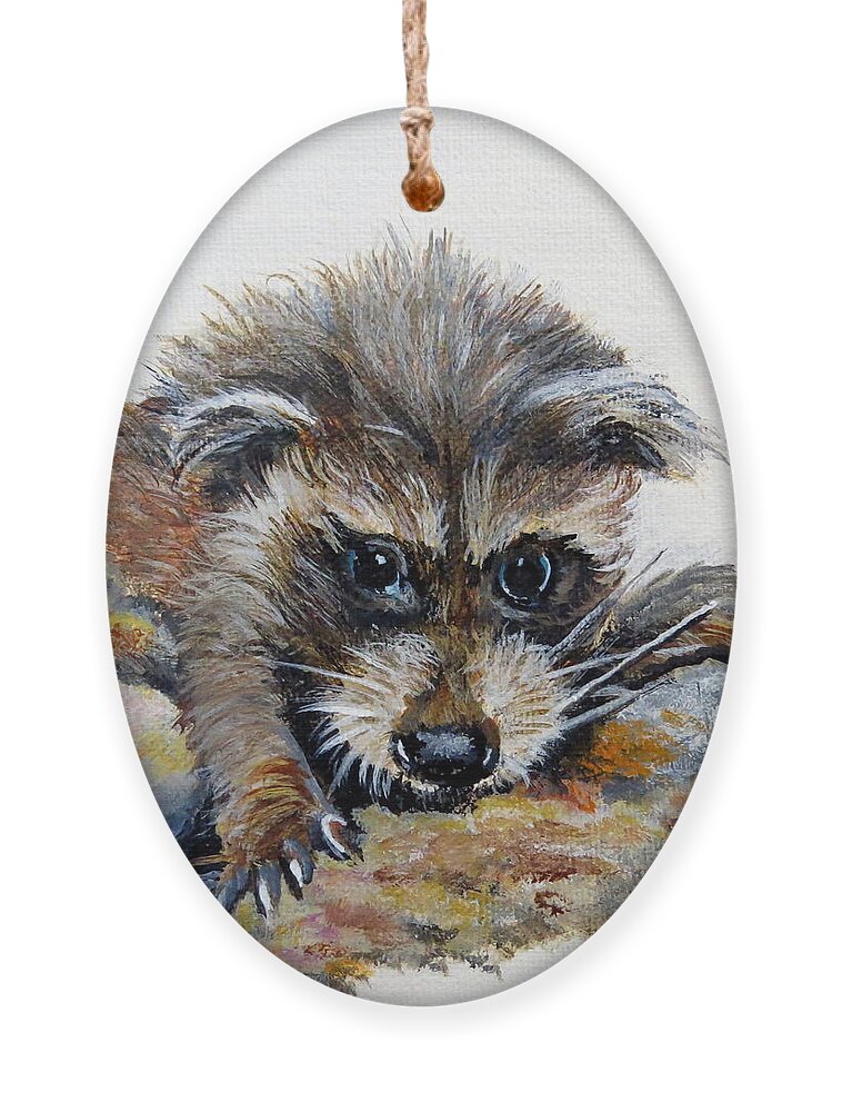 Raccoon Ornament featuring the painting Baby Raccoon by Marilyn McNish