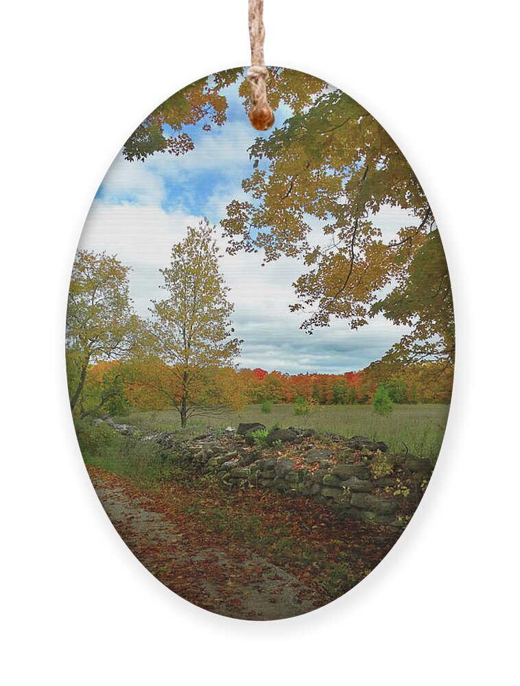 October Ornament featuring the photograph Back Road Fall Colors by David T Wilkinson