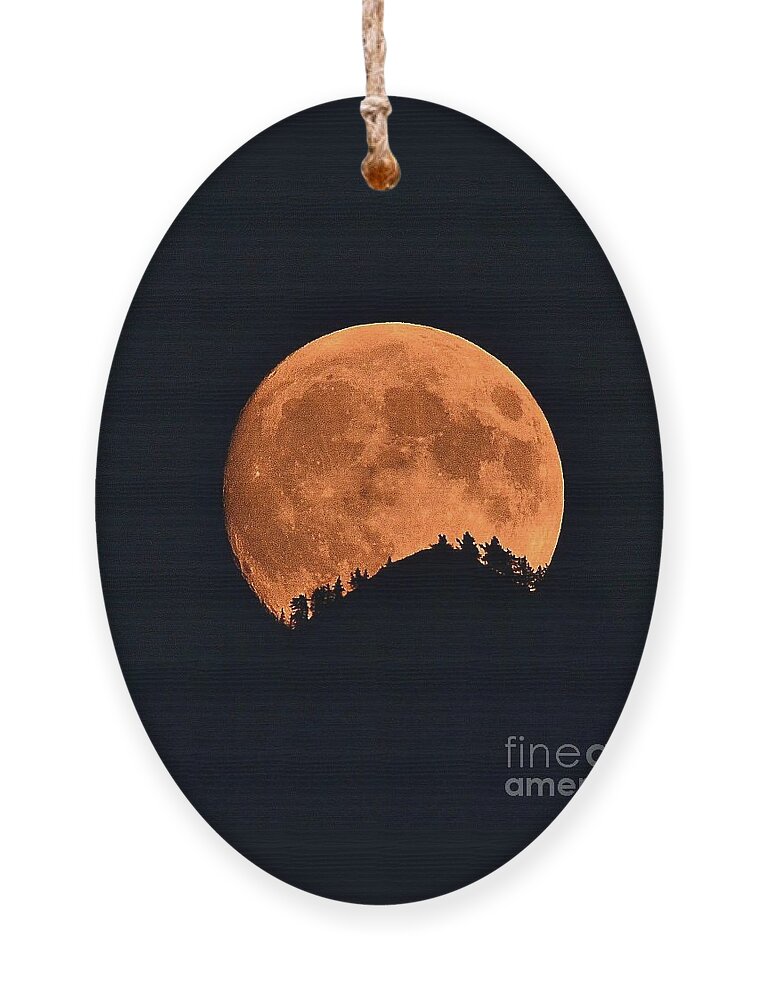 Full Moon Ornament featuring the photograph Bad Moon Rising by Dorrene BrownButterfield