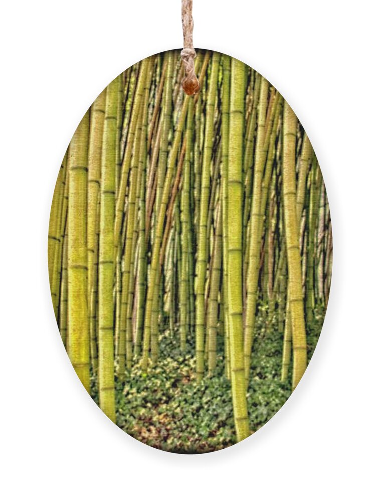 Bamboo Ornament featuring the photograph Bamboo by Allen Nice-Webb