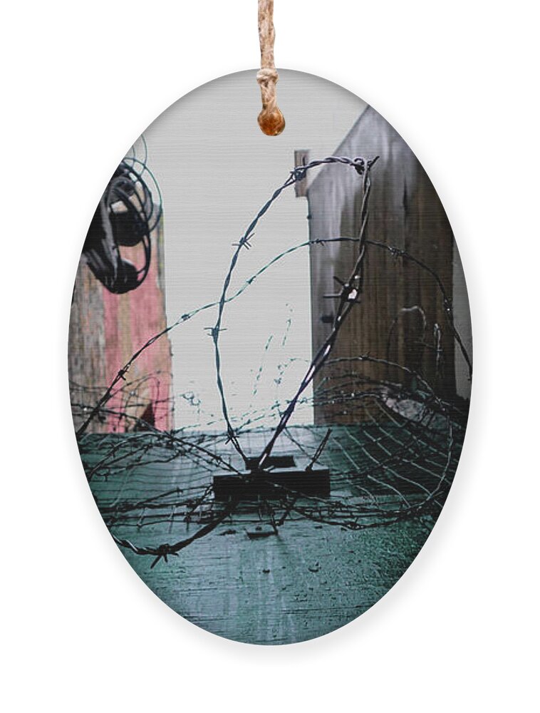 Seattle Ornament featuring the photograph Barbed Wire City Scene by Cathy Anderson