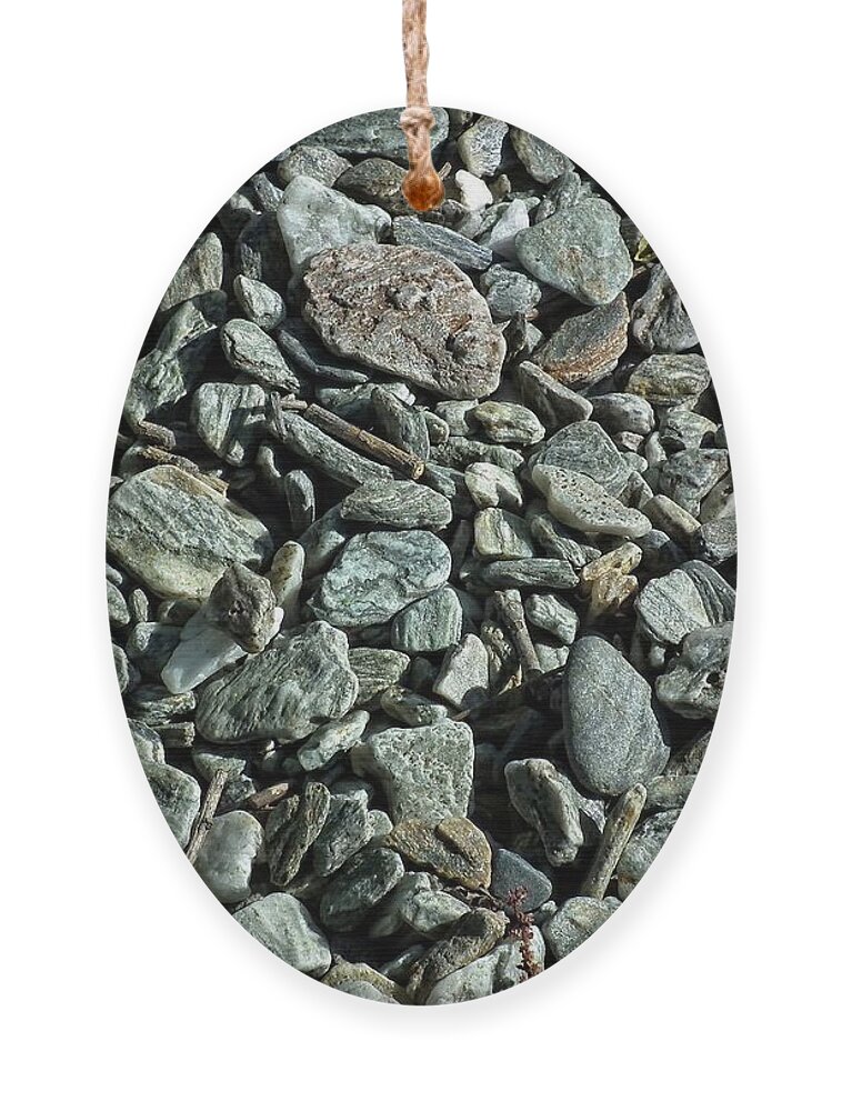 Beach Ornament featuring the photograph Beach stones by Martin Smith