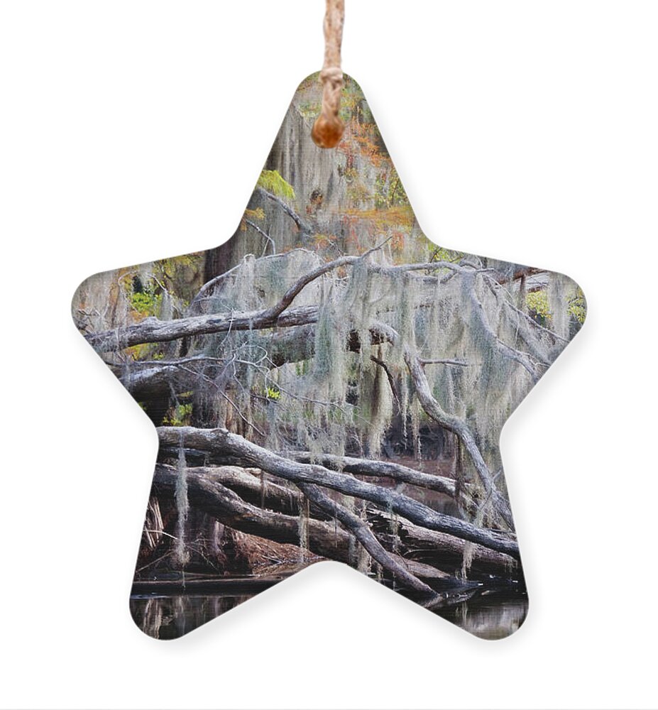 Autumn Ornament featuring the photograph Beard Lichen by Lana Trussell