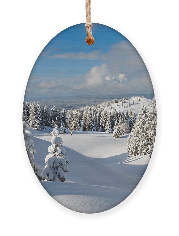 Sky Ornament featuring the photograph Beautiful Snowy Landscape firs by Godin Stephane