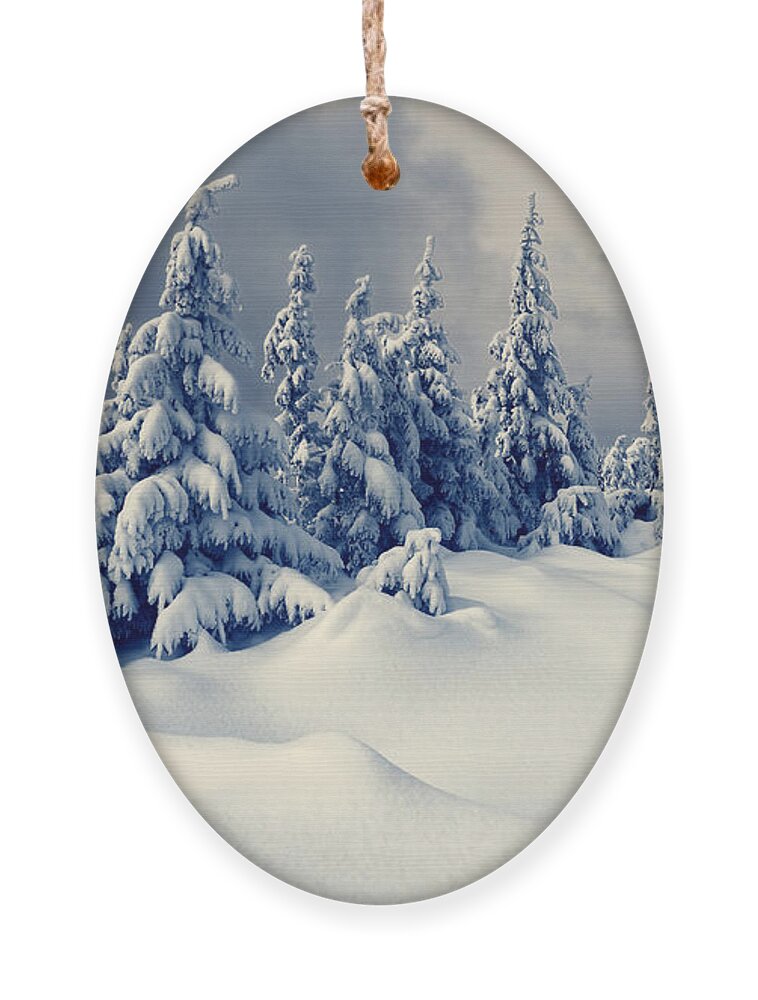 Beauty Ornament featuring the photograph Beautiful Winter Landscape With Snow by Creative Travel Projects