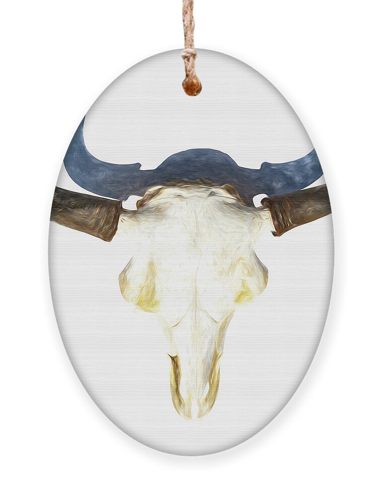 Kansas Ornament featuring the photograph Bison Skull 003 by Rob Graham